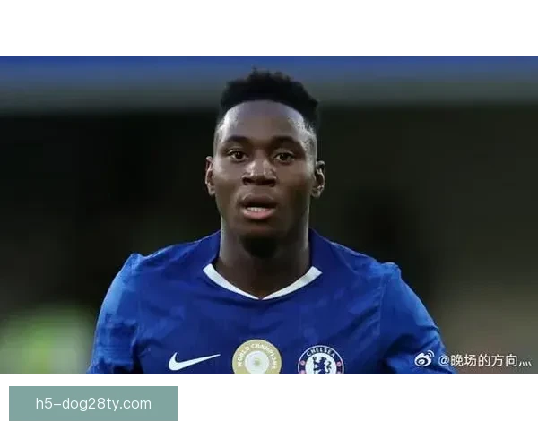 埃苏戈伤停一月拉维亚回归在途