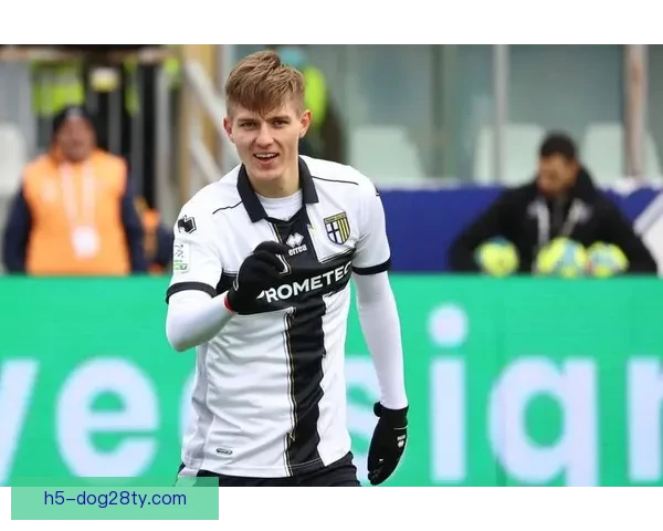 帕尔马25轮多9分排名升6位